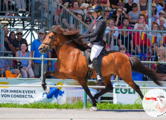 WM Tag 3: Deutschland im Fünfgang vorne!