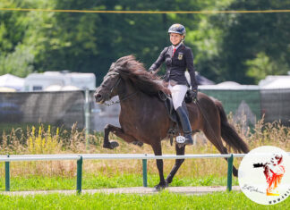 WM Tag 1: Zucht-Triumph für den Kronshof