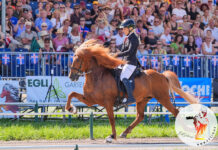 WM Tag 4: Lilja glänzt im Viergangpreis