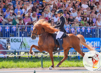 WM Tag 4: Lilja glänzt im Viergangpreis