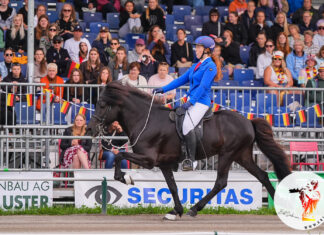 WM Tag 2: T2 und Töltpreis Vorentscheidung