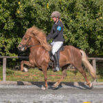 HEU_6833-3_72
