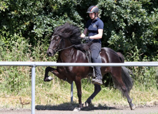 Vorfreude auf die WM: Interview mit Frauke Schenzel