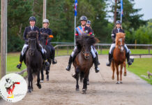 Wir gratulieren unseren Norddeutschen Meister*innen!