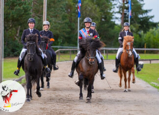 Wir gratulieren unseren Norddeutschen Meister*innen!