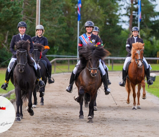 Wir gratulieren unseren Norddeutschen Meister*innen!