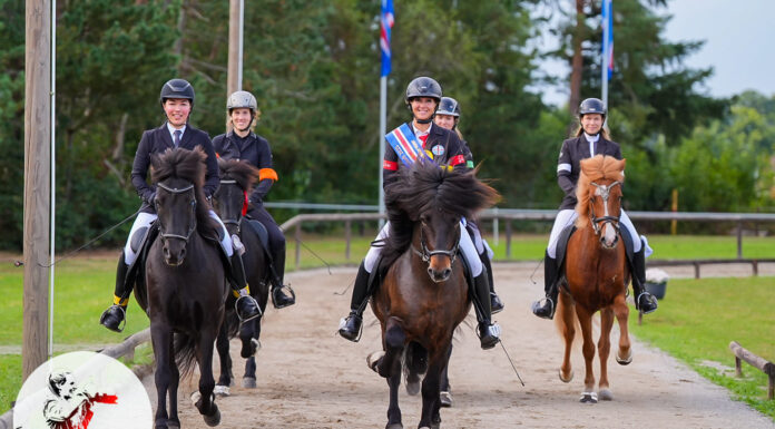 Wir gratulieren unseren Norddeutschen Meister*innen!