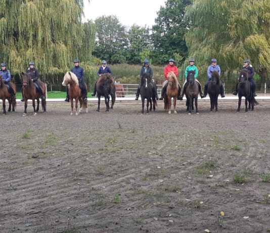 Nord reitet aus am 3.Oktober