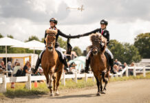 Sonne, Sport und Spaß auf unserer Sport-Vereinsmeisterschaft