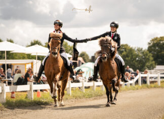 Sonne, Sport und Spaß auf unserer Sport-Vereinsmeisterschaft