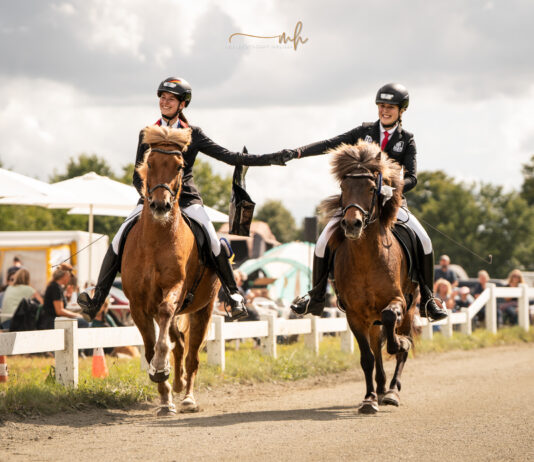 Sonne, Sport und Spaß auf unserer Sport-Vereinsmeisterschaft