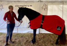 FIZO Heesberg: klein, aber fein!