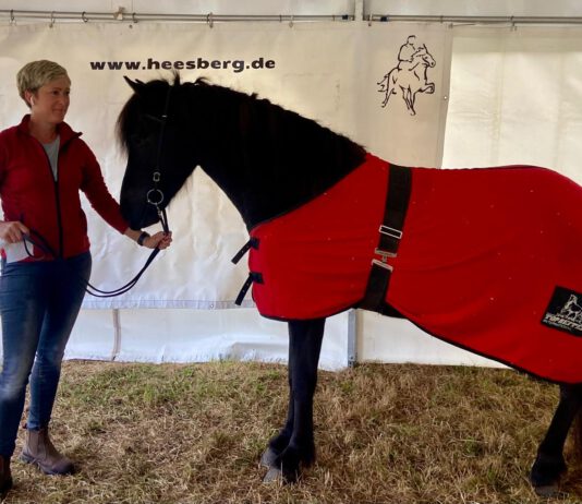 FIZO Heesberg: klein, aber fein!