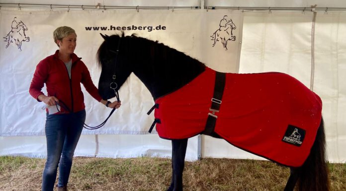 FIZO Heesberg: klein, aber fein!