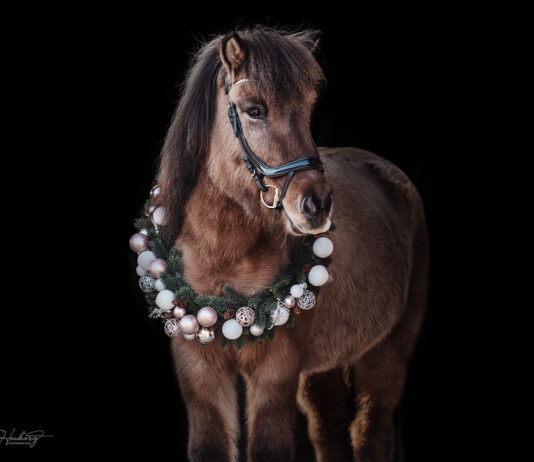 Unser Weihnachts- und Neujahrsgruß an euch