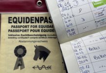 Änderung des Impfschemas gemäß FEI