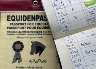 Änderung des Influenza-Impfschemas gemäß FEI