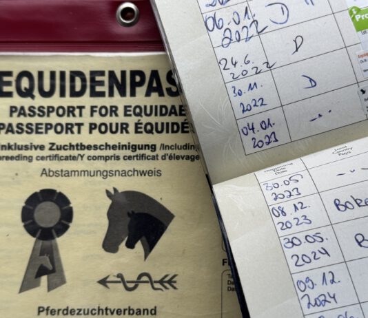 Änderung des Influenza-Impfschemas gemäß FEI