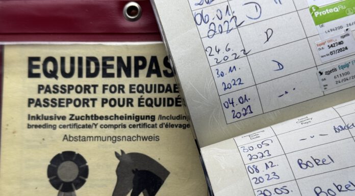 Änderung des Influenza-Impfschemas gemäß FEI