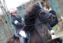 Plätze bei Jugendtraining 18.-19.4. mit Gerd Flender in Ehndorf zu vergeben