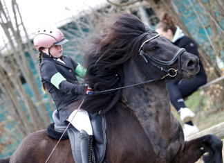 Plätze bei Jugendtraining 18.-19.4. mit Gerd Flender in Ehndorf zu vergeben