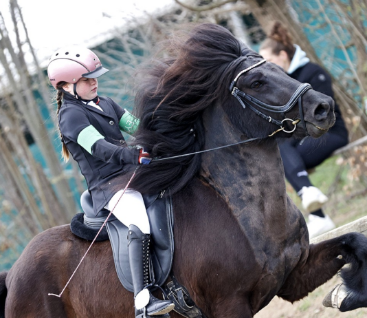 Plätze bei Jugendtraining 18.-19.4. mit Gerd Flender in Ehndorf zu vergeben