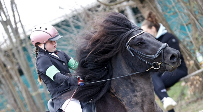 Plätze bei Jugendtraining 18.-19.4. mit Gerd Flender in Ehndorf zu vergeben