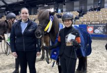 Hallenmeisterschaft 2026 – die Saison ist eröffnet