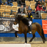 IPZ_Turnier_Samstag_Impressionen_8365