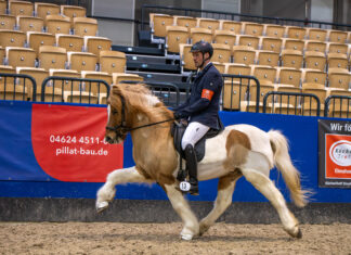 Impressionen von den Hallenmeisterschaften
