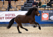 Materialprüfung Tremsbüttel kann bis Sonntag genannt werden!