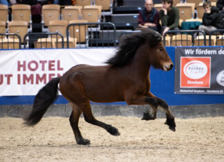 Materialprüfung Tremsbüttel kann bis Sonntag genannt werden!