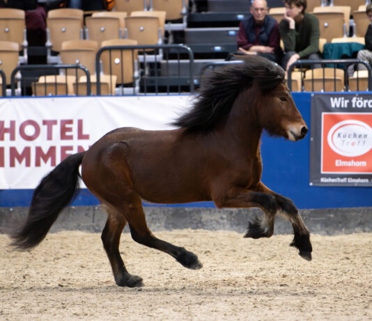 Materialprüfung Tremsbüttel kann bis Sonntag genannt werden!