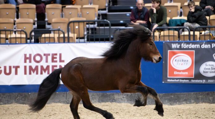 Materialprüfung Tremsbüttel kann bis Sonntag genannt werden!