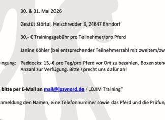 DJIM: Einladung zum offenen DJIM-Training – und T-Shirts!