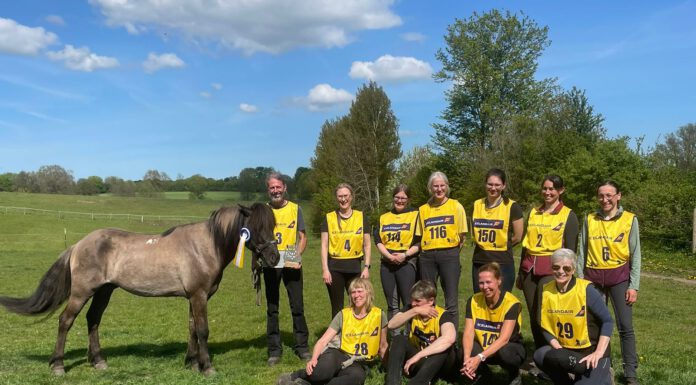 Laxnes Distanz #1 durch die Holsteinische Schweiz