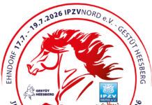 Early Bird Nennungen für das Jugend- und Breitensportfestival ab 5.6.