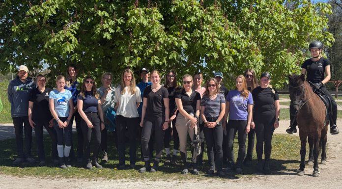 Gelungenes Passtraining auf Godemoor