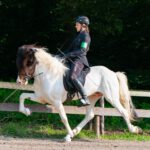 TERESA_1629