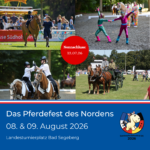 PSH SM Beitrag IG FB (32)
