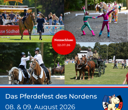 Hestadagar auf dem Pferdefest in Bad Segeberg