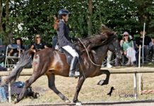 MEM: Starker Norden in der T2, Bronze in der YR-Kombi