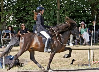 MEM: Starker Norden in der T2, Bronze in der YR-Kombi