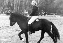 Abschied von Jón Steinbjörnsson