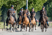 Gelungenes Seniorenturnier auf Norderheide