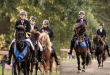 Auftakt der Meisterschaften auf Tjarnaland