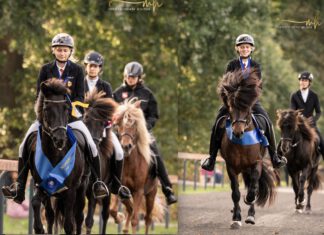 Auftakt der Meisterschaften auf Tjarnaland